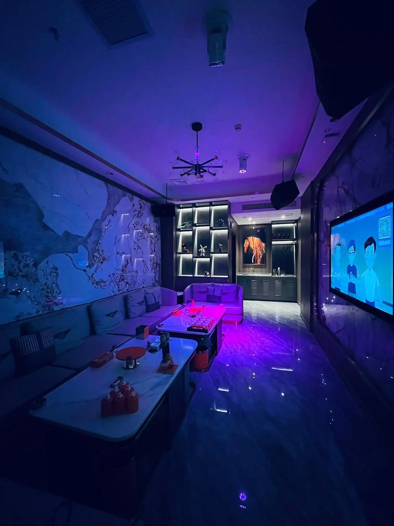 忻州商务ktv价格多少一个小时-代县ktv预订